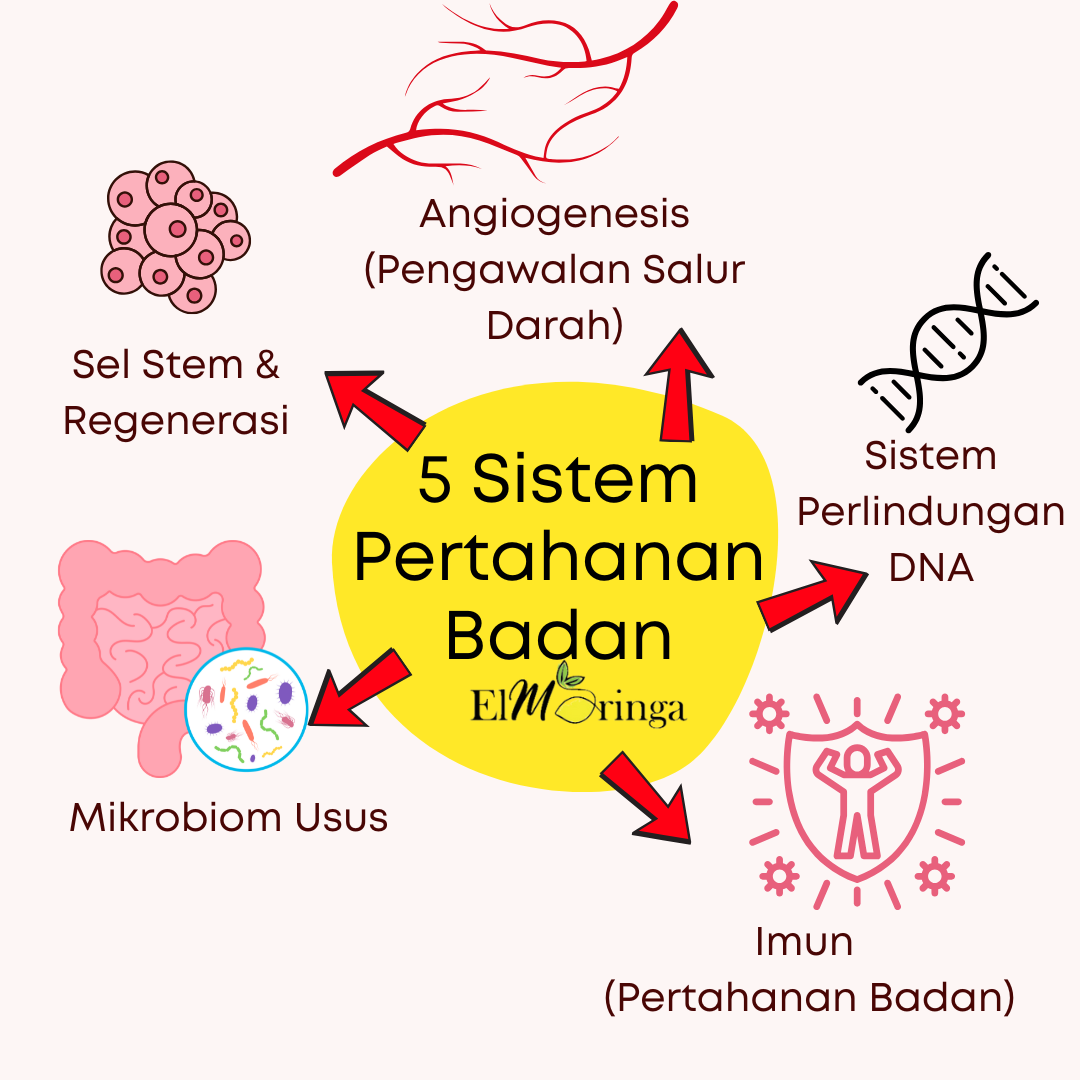 Eat to Beat Disease Book